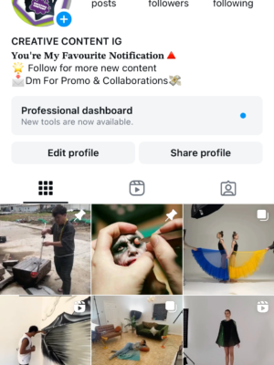 Creative_Content.ig - 249K